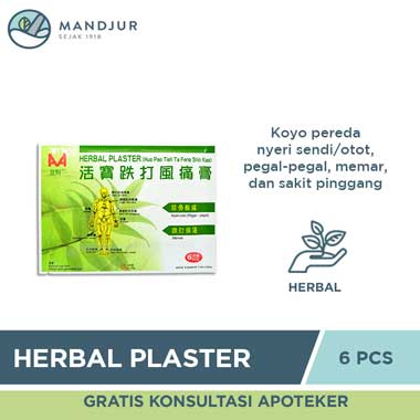 Herbal Plaster (Huo Pao Tieh Ta Feng Shin Kao) - Apotek Mandjur