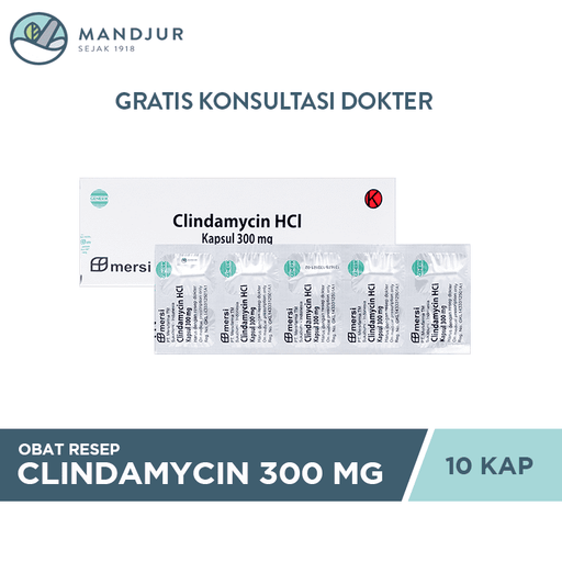Clindamycin 300 Mg Strip 10 Kapsul - Apotek Mandjur