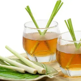 Menggali Manfaat Sereh: Tips Mengolah Sereh untuk Kesehatan yang Optimal