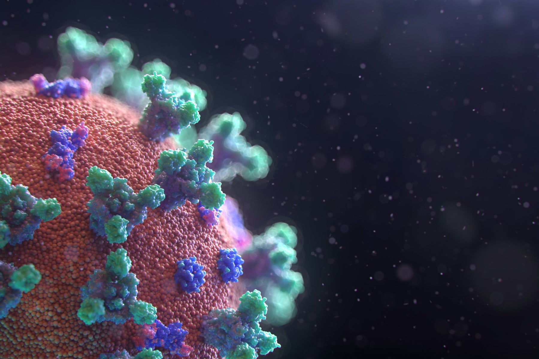 Bukan Sekadar Ruam! Kenali Campak dan Bahayanya