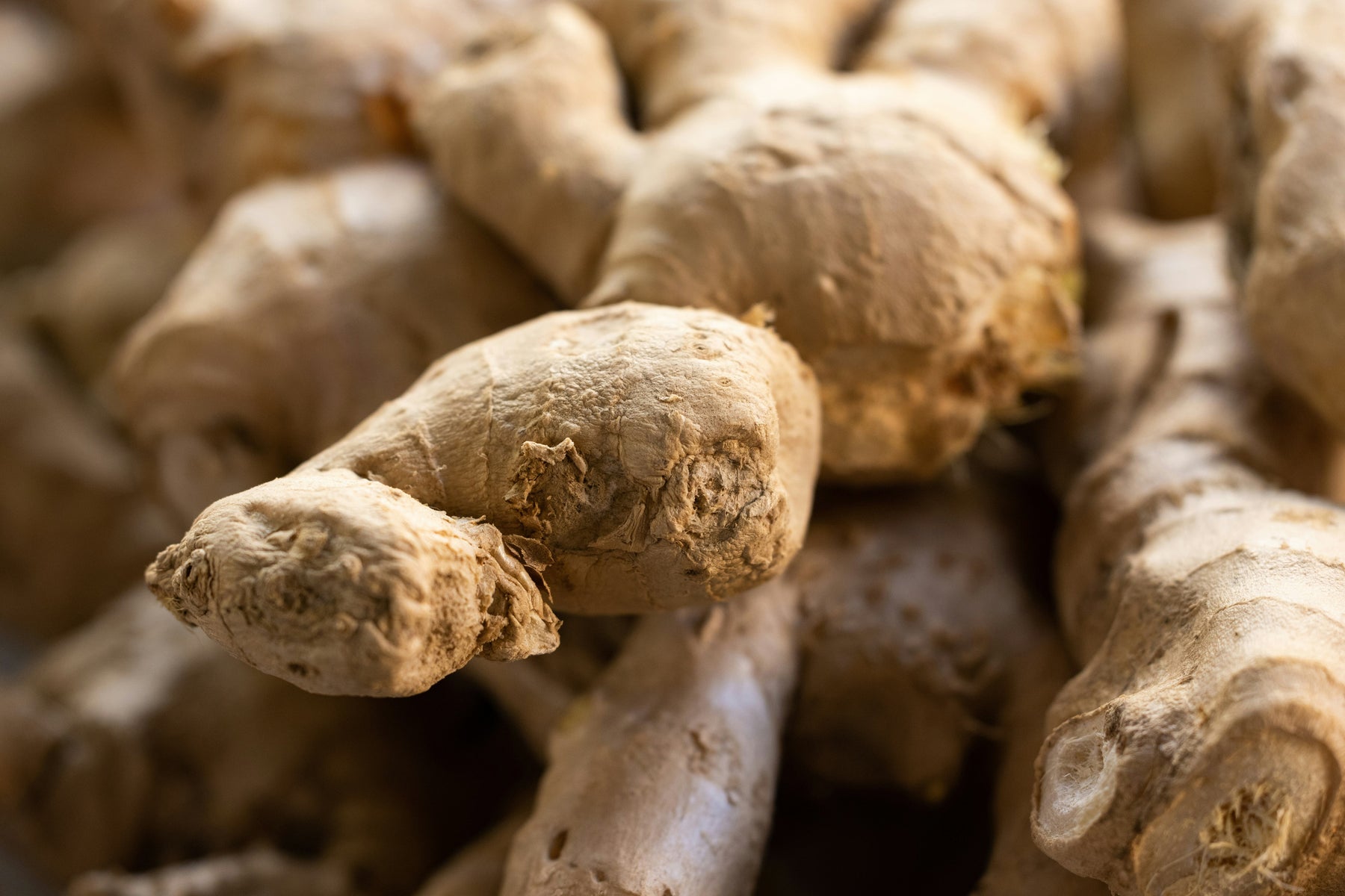 Kenali Khasiat Jahe untuk Daya Tahan Tubuh dan Pencernaan