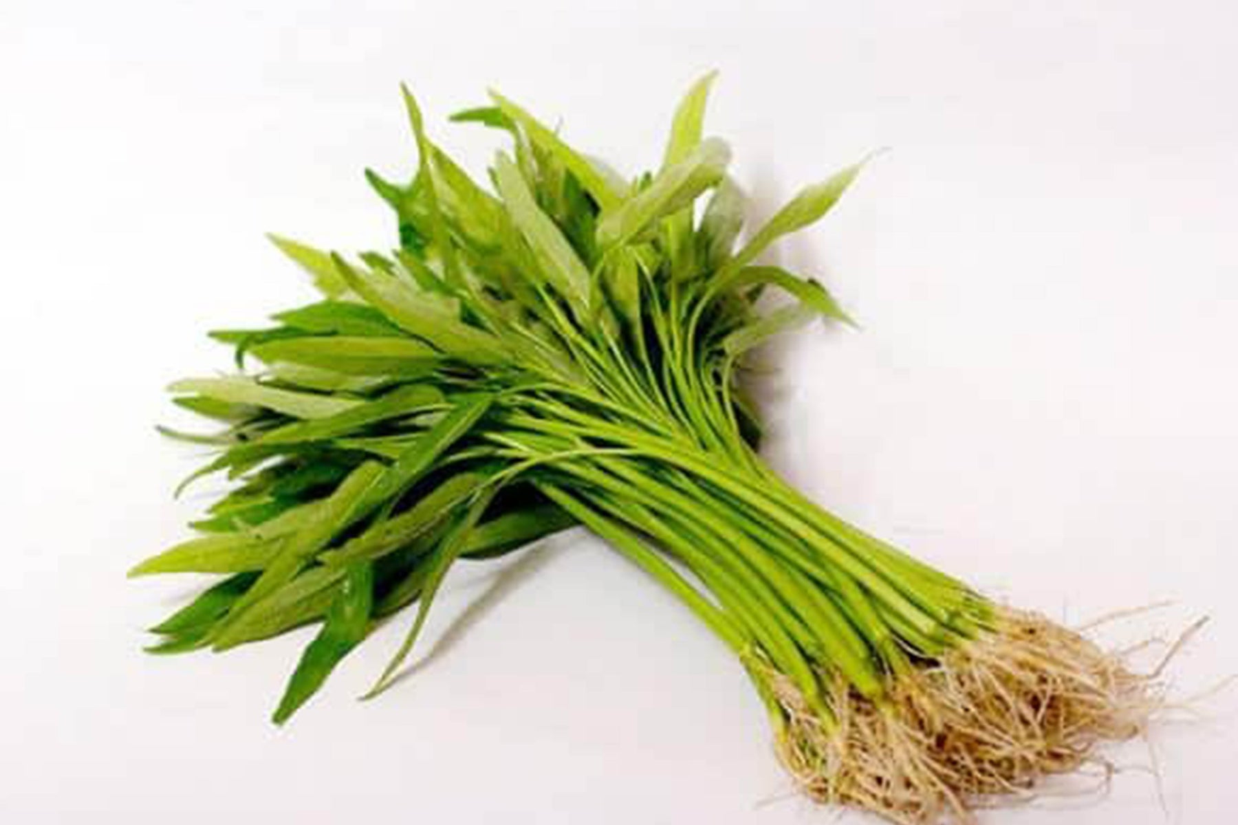 Manfaat Kangkung bagi Kesehatan, dari Pencernaan hingga Daya Tahan Tubuh