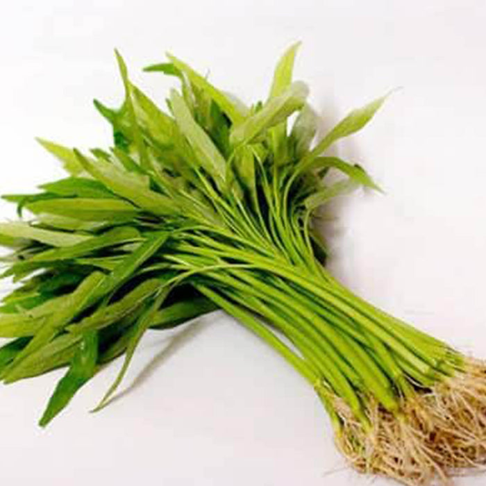 Manfaat Kangkung bagi Kesehatan, dari Pencernaan hingga Daya Tahan Tubuh