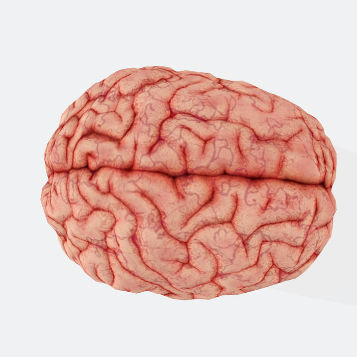 Benarkah Otak Berhenti Tumbuh di Usia 3 Tahun? Ini Fakta Medisnya