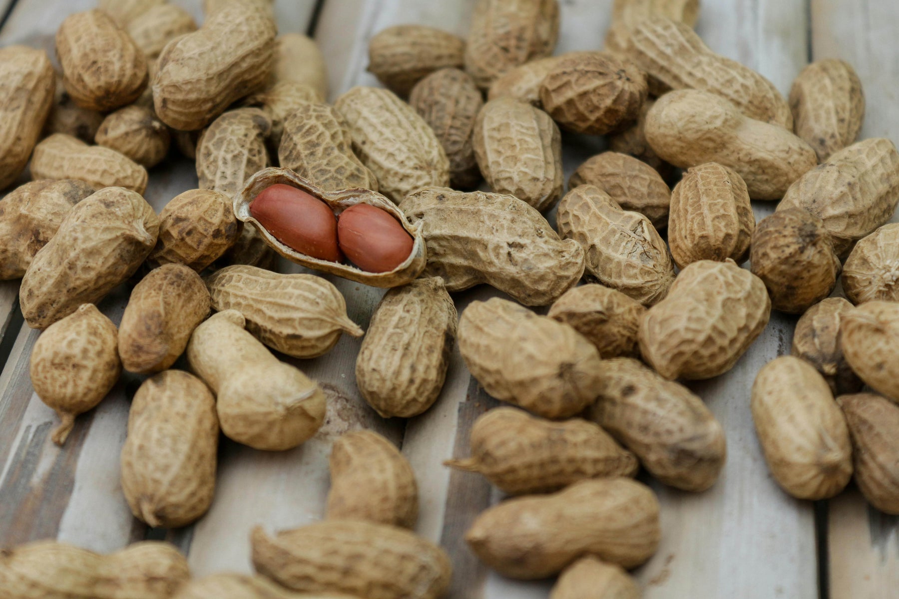 Alergi Kacang? Ini Alternatif Sumber Protein yang Aman dan Bergizi