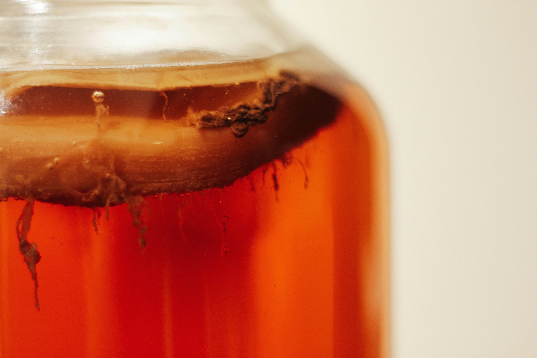 SCOBY: Teman Baru untuk Gaya Hidup Sehat dan Alami