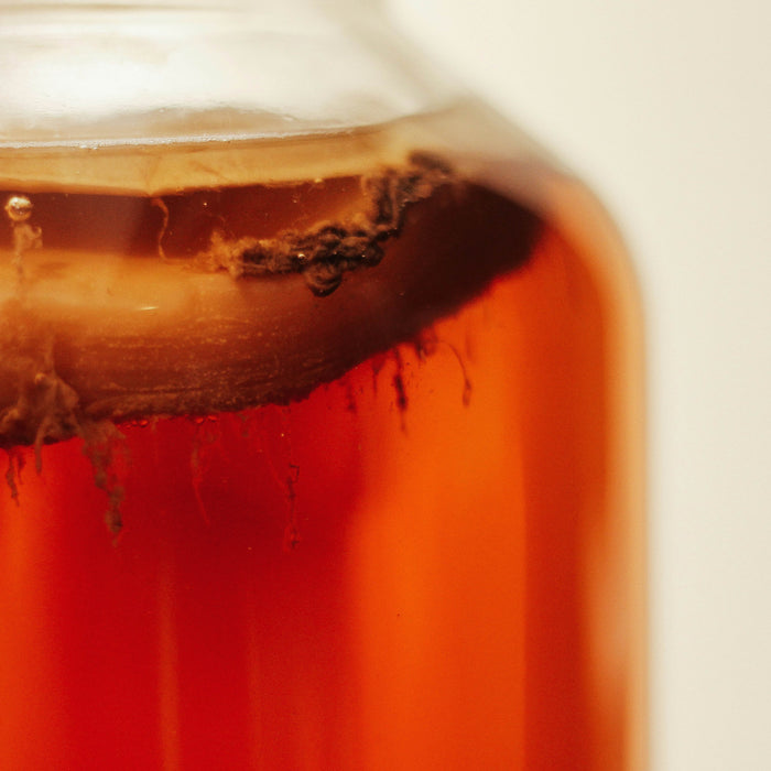 SCOBY: Teman Baru untuk Gaya Hidup Sehat dan Alami