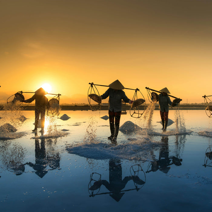 Sea Salt: Lebih Sehat dari Garam Biasa? Ini Faktanya!