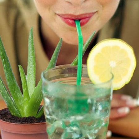 Menggali Manfaat Lidah Buaya yang Tersembunyi untuk Kesehatan