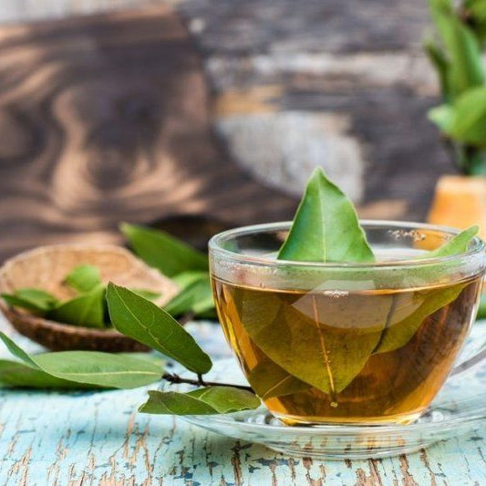 Daun Salam untuk Kesehatan: Keajaiban Alam yang Harus Anda Ketahui