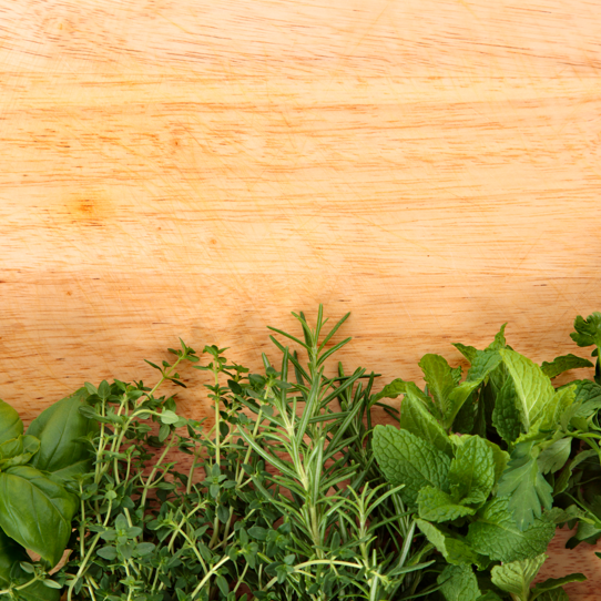 Hijaunya Pengobatan: Tanaman Rumah sebagai Sumber Obat Alam