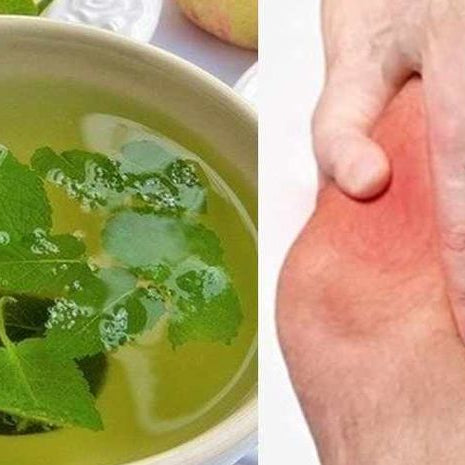 Hijau Berkhasiat: Daun-dunia yang Membantu Mengendalikan Asam Urat