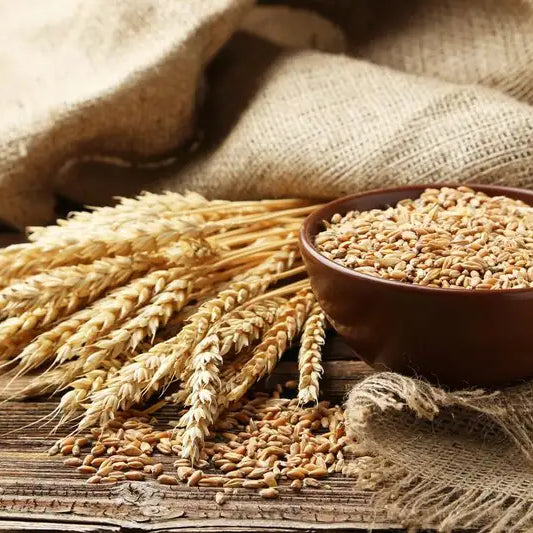 Kaya Serat dan Energi: Gandum untuk Kesehatan dan Diet Optimal