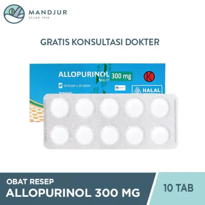 Allopurinol Hexpharm 300 Mg Strip 10 Tablet