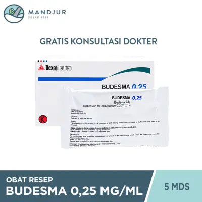 Budesma 0.25 mg/ml 5 Containers Monodose